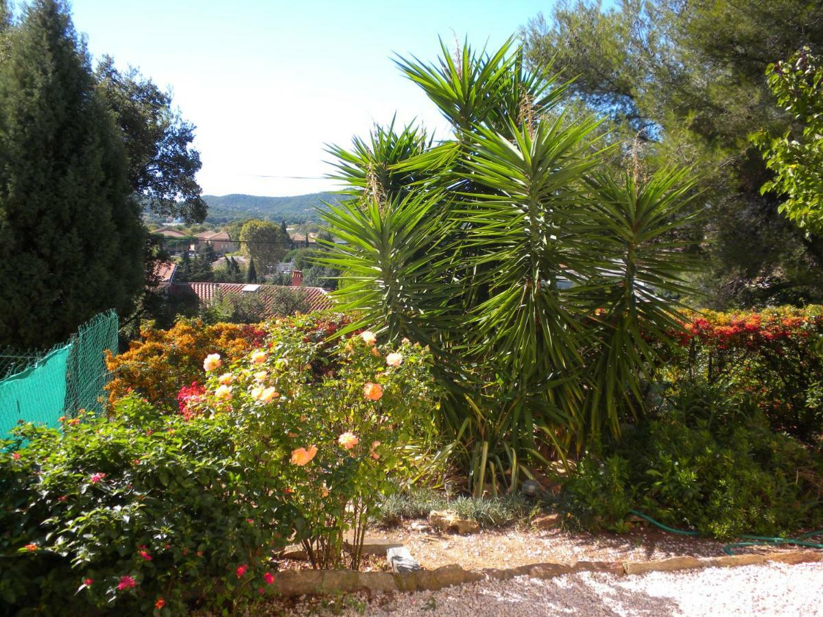 Ecrin De Verdure Sur Le Lavandou - Classement Tourisme 3 Etoiles Luaran gambar